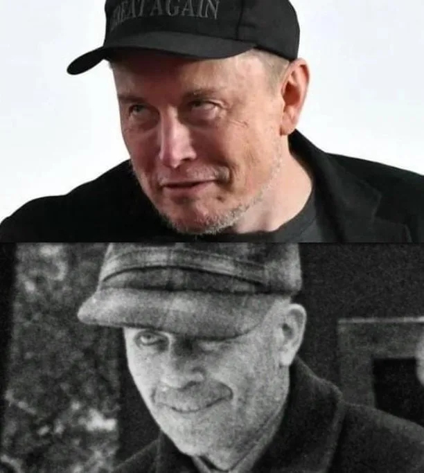 The image is a two-panel meme. The top panel shows Elon Musk wearing a black cap with the text 'BEAT AGAIN' visible on it…
