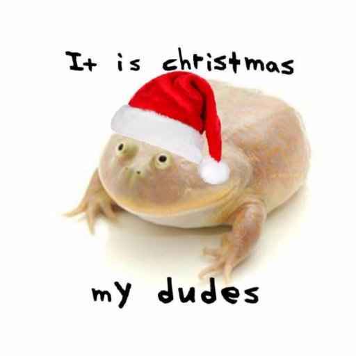 A pale, round-faced frog wearing a red and white Santa hat is centered on a plain white background. Above the frog, the text…