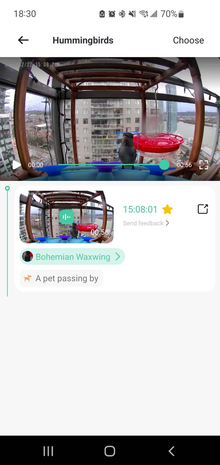 A screenshot of a bird-watching app shows a video of a dark bird perched on a feeder, but the app's AI misidentifies it as a…