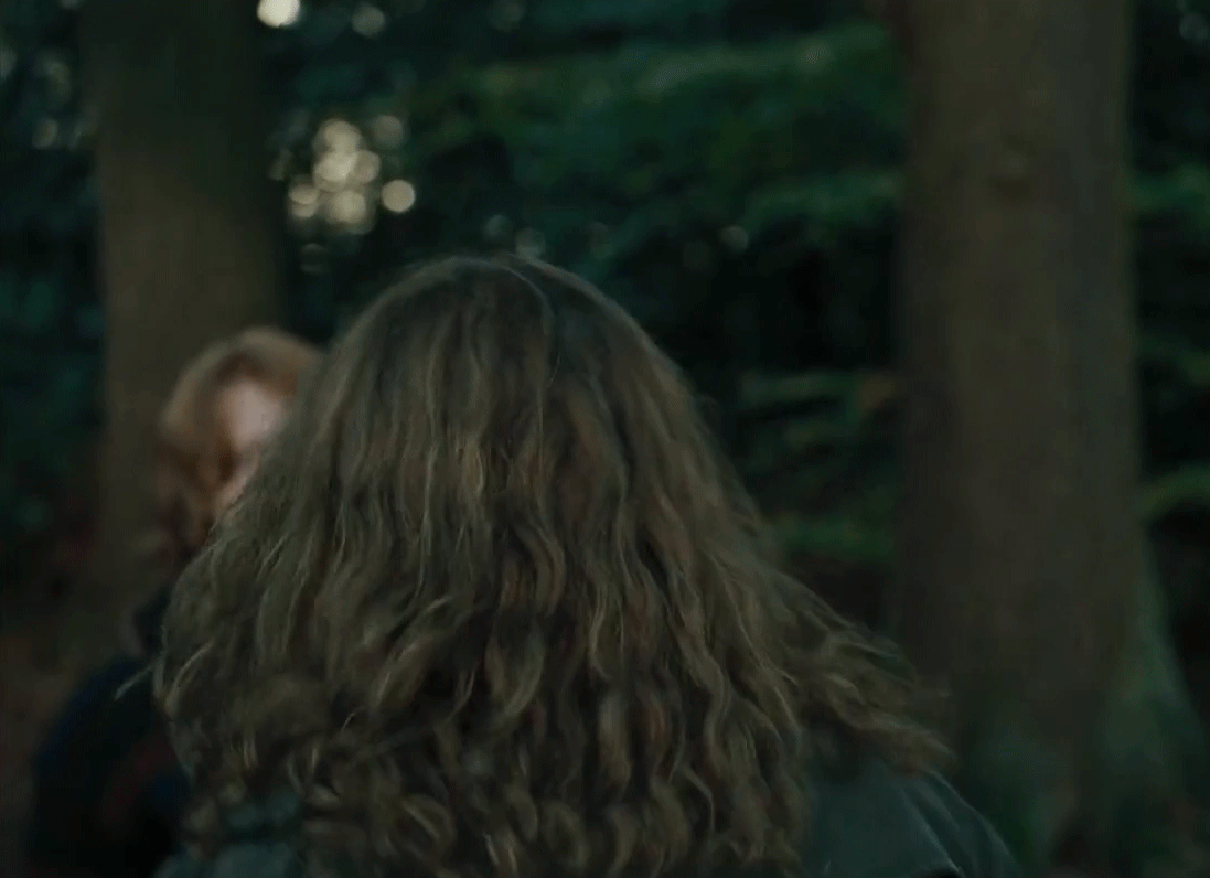 A six-panel meme from the Harry Potter movies showing Hermione Granger repeatedly shouting 'I'm not an owl!' while running…
