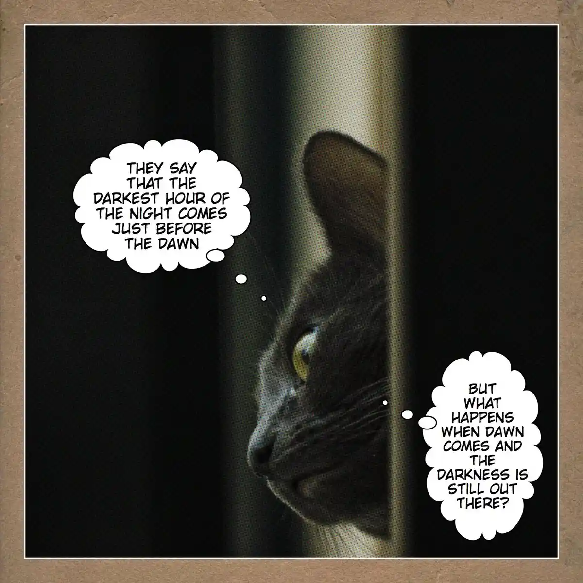 A dark, grainy photo shows a cat's face in profile, looking out from behind a vertical barrier in a dimly lit setting. Two…