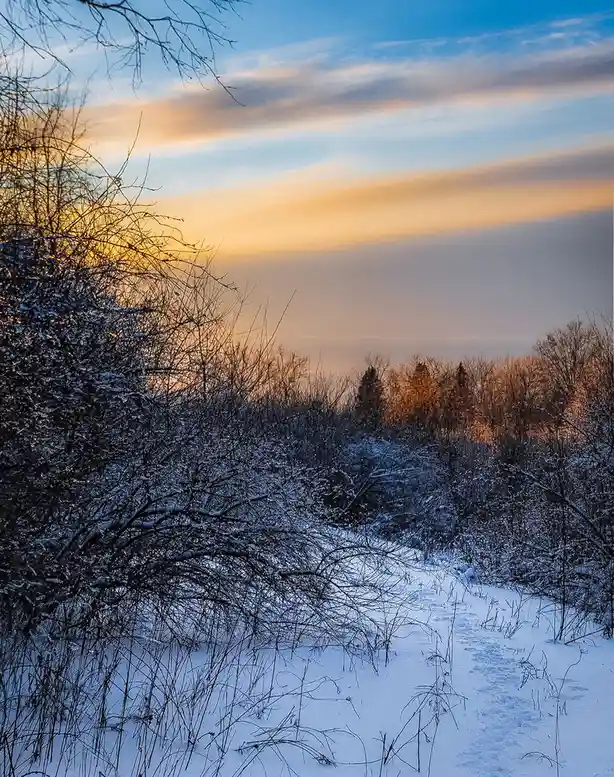 A serene winter landscape shows a snow-covered path winding through bare, frost-laden trees under a sky painted with soft…