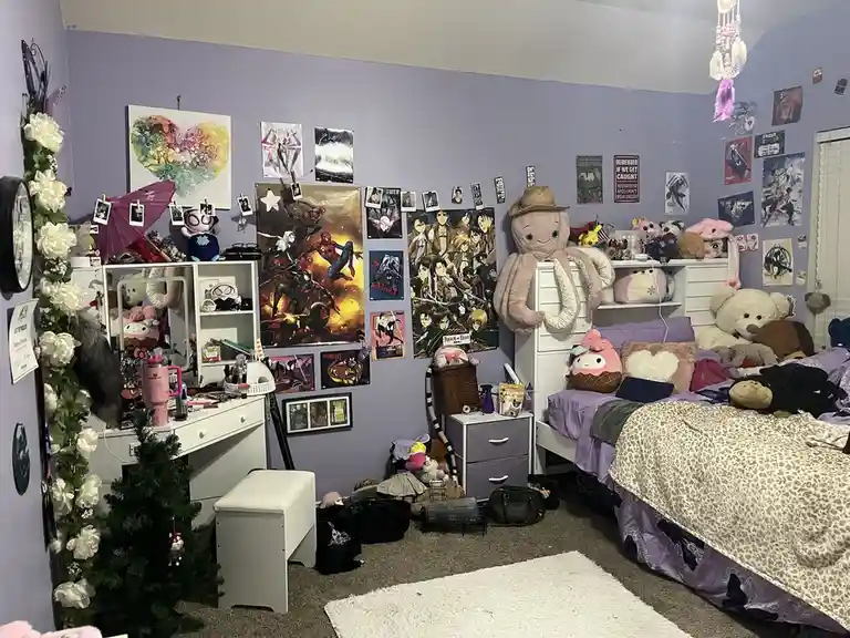 Check out my room! (Featuring a cameo from my cat)
