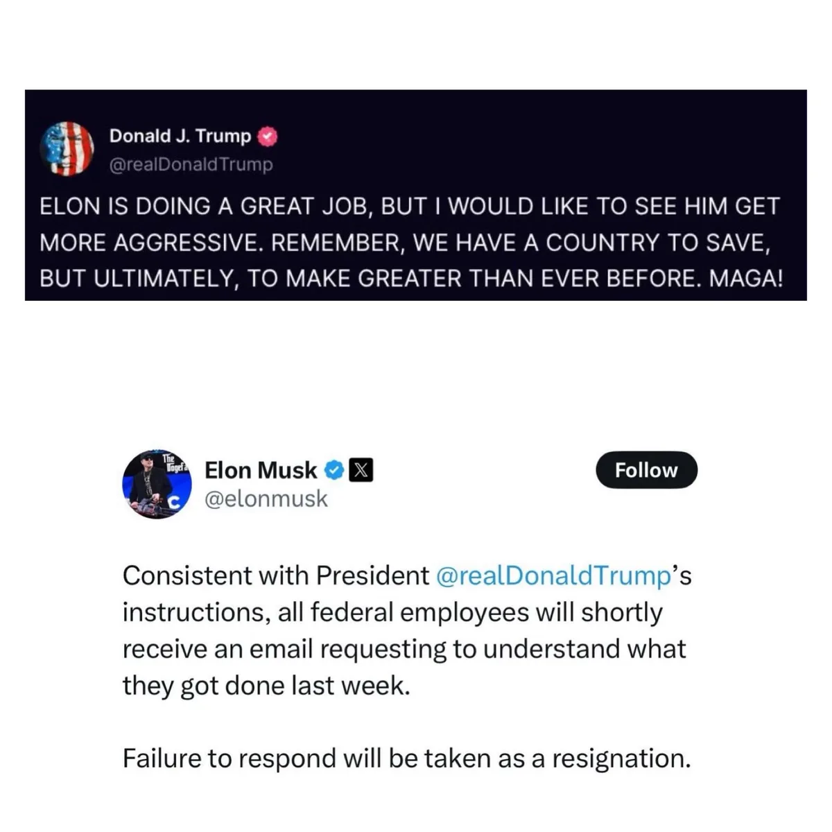 The image displays two tweets: the top one is from a fake Donald J. Trump account praising Elon Musk and urging him to be…