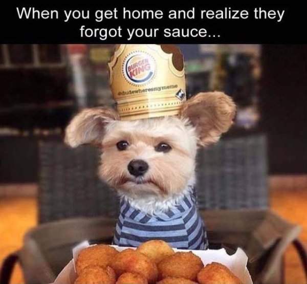 A small, fluffy dog wearing a Burger King crown and a striped shirt sits solemnly in front of a tray of fried chicken…