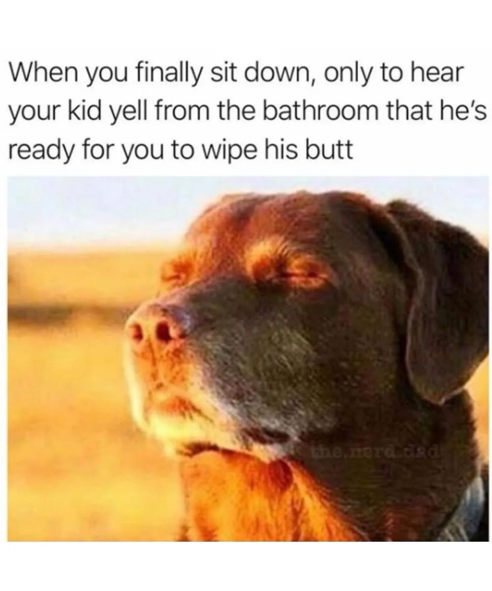 A close-up photo of a brown dog with its eyes closed and head tilted upward, appearing serene or resigned, overlaid with…