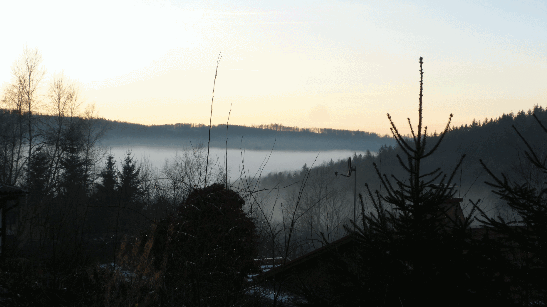 The image shows a serene, misty sunrise over a forested valley with silhouetted trees and hills. The sky transitions from…