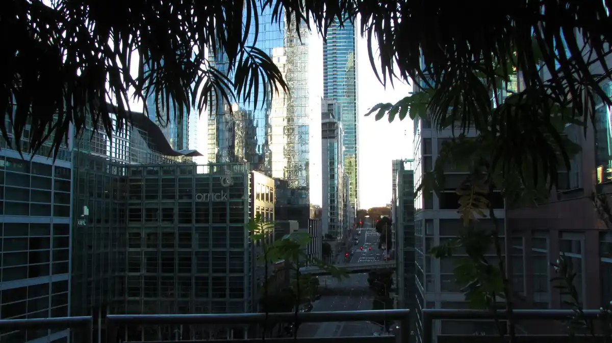 A cityscape viewed through dark silhouetted palm fronds, showing glass skyscrapers and a street below with traffic lights…