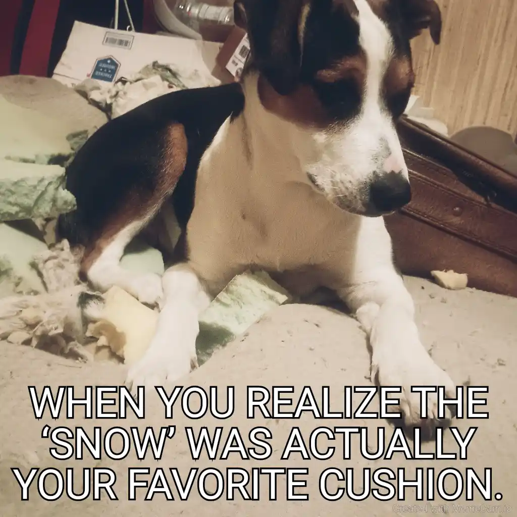 A black, white, and brown dog lies on a messy floor surrounded by torn fabric and stuffing, looking dejected. The overlaid…
