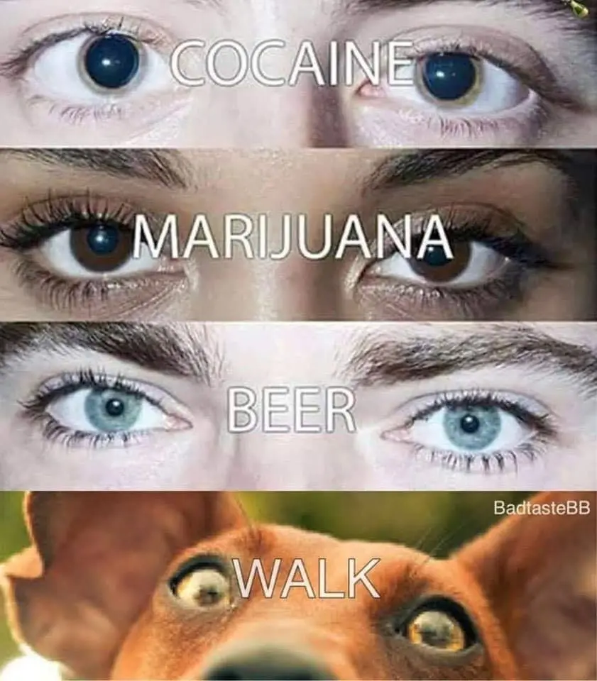The image is a four-panel meme showing close-ups of human eyes with text labels: 'COCAINE', 'MARIJUANA', 'BEER', and a final…