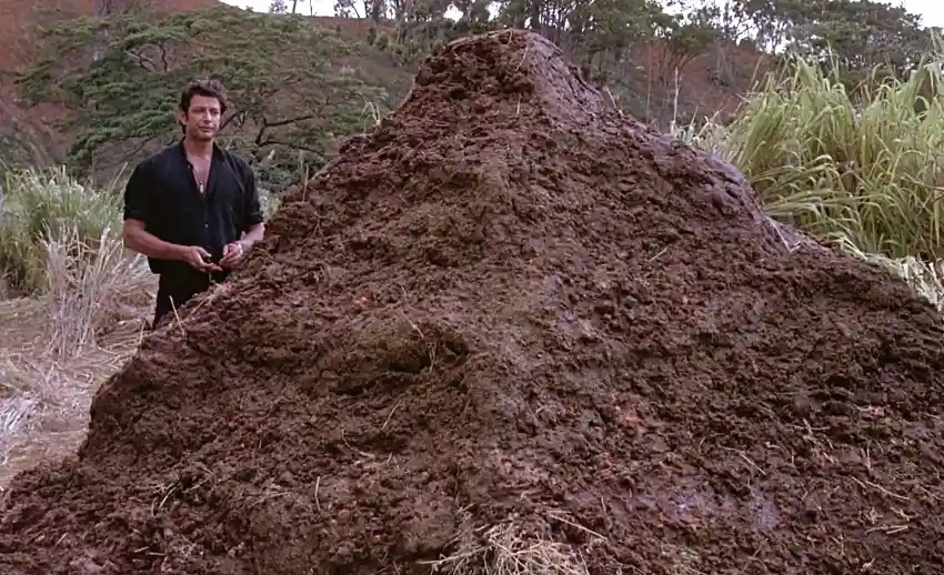 A man in a black shirt stands beside a large, irregular mound of brown dirt in a grassy, wooded outdoor setting. He looks at…