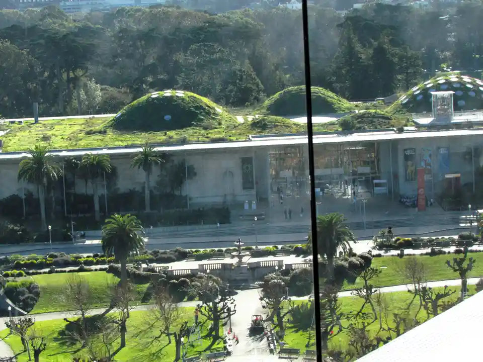 An outdoor photo of the California Academy of Sciences in San Francisco, showing its distinctive green roof with grassy…