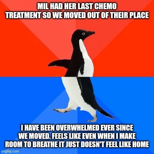 A penguin stands in a split red and blue background, with white text overlaid in two sections. The top text reads 'MIL HAD…