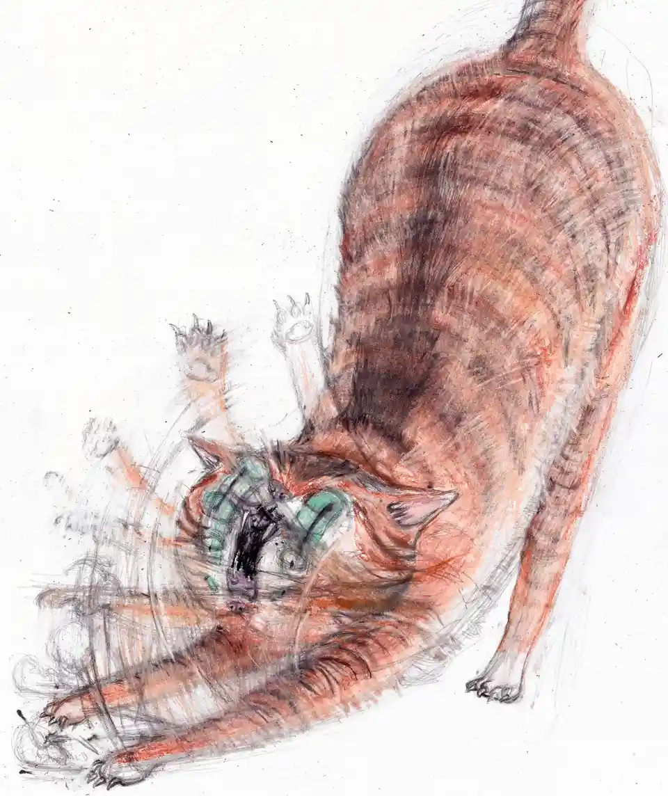 A sketch-style drawing of a cat stretching backward with its head and front paws reaching upward, its face distorted with…