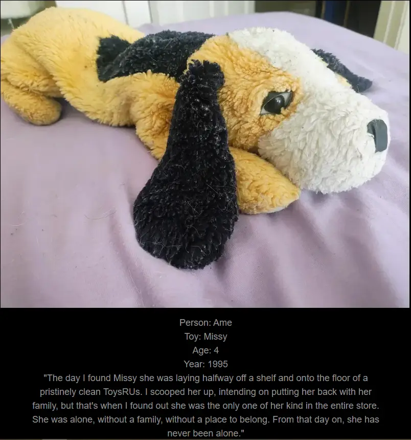 Day 763: Join Me on My Journey at www.saidtheskinhorse.com - Celebrating Our Cherished Childhood Toys with Missy, Our Newest Friend!
