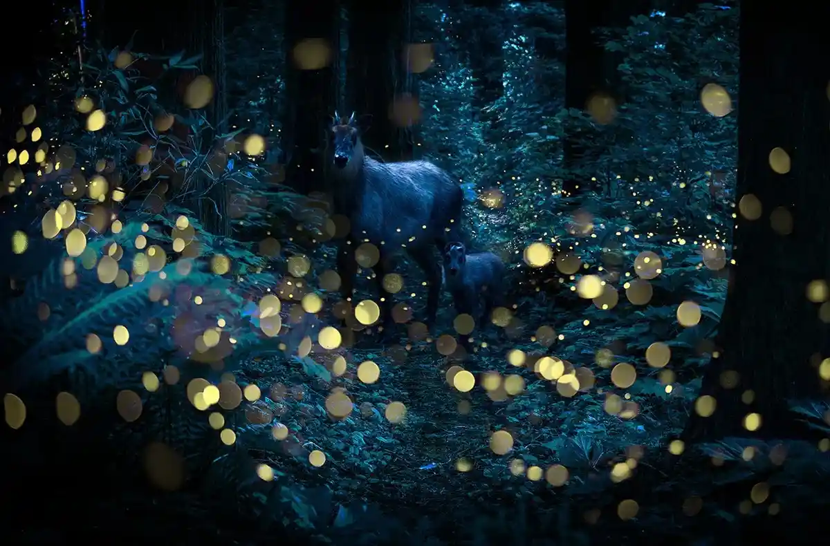 A dark, enchanted forest scene with two deer, an adult and a fawn, standing amidst glowing golden orbs that resemble…