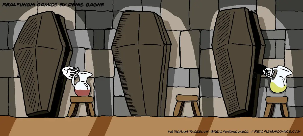 A cartoon depicts three coffins in a stone-walled room. The left coffin has a white jug with red liquid on a stool, the…