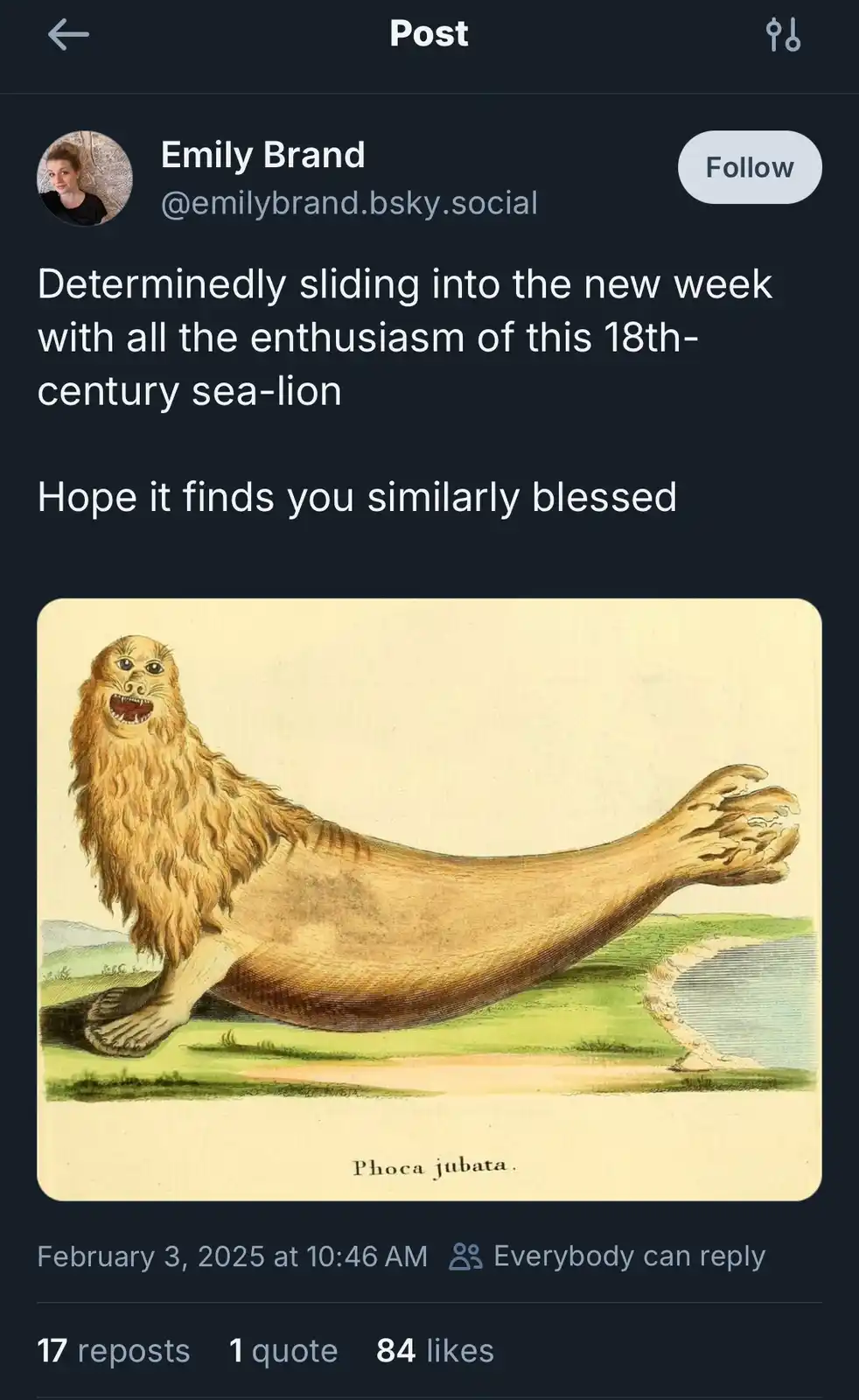 An 18th-century colored illustration of a seal with a long, shaggy mane and a lion-like face, labeled 'Phoca jubata.' The…