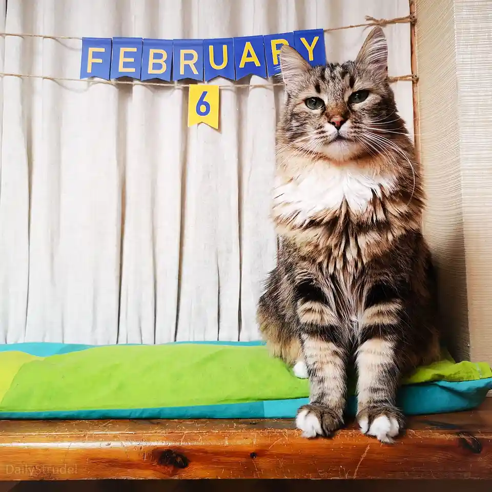 Mark your calendars: February 6!
