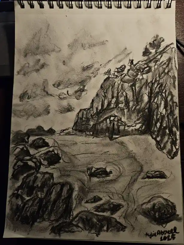 A beautiful sketch of nature's wonders