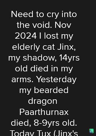 A black background with white text detailing a person's grief over losing pets: their 14-year-old cat Jinx, their…