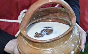 a person holds a brown ceramic pot with a handle, filled with white liquid resembling milk, in which a small brown frog is…