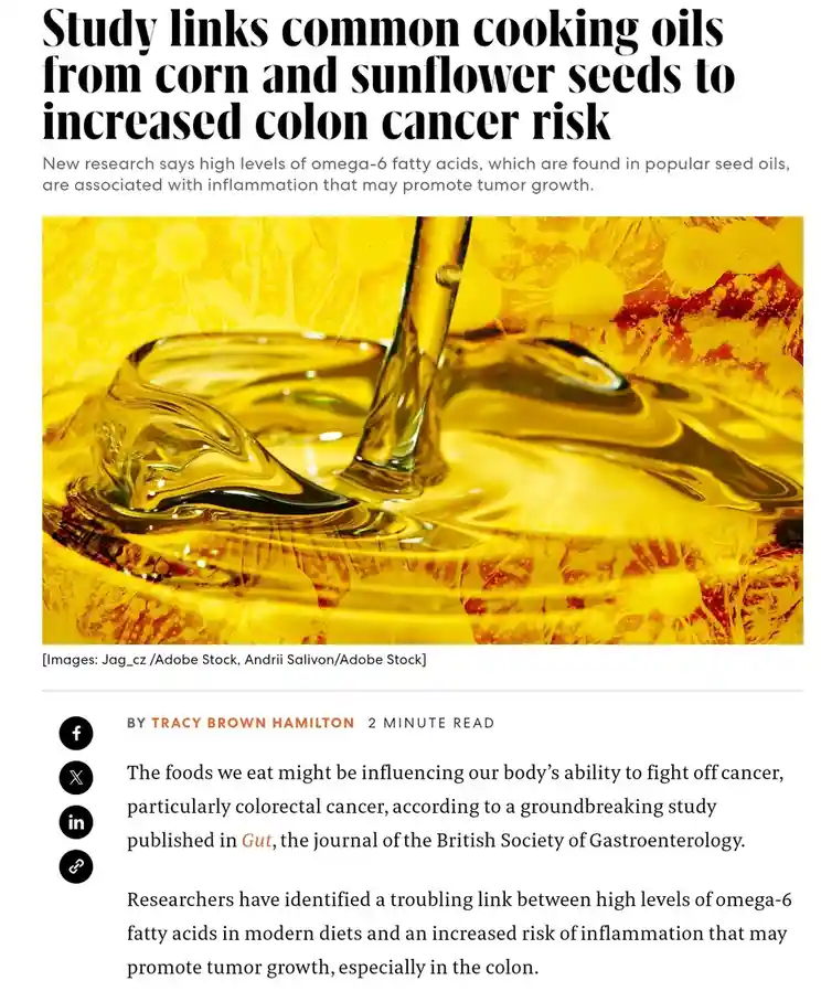 A screenshot of a news article with a headline about a study linking corn and sunflower seed oils to colon cancer risk…