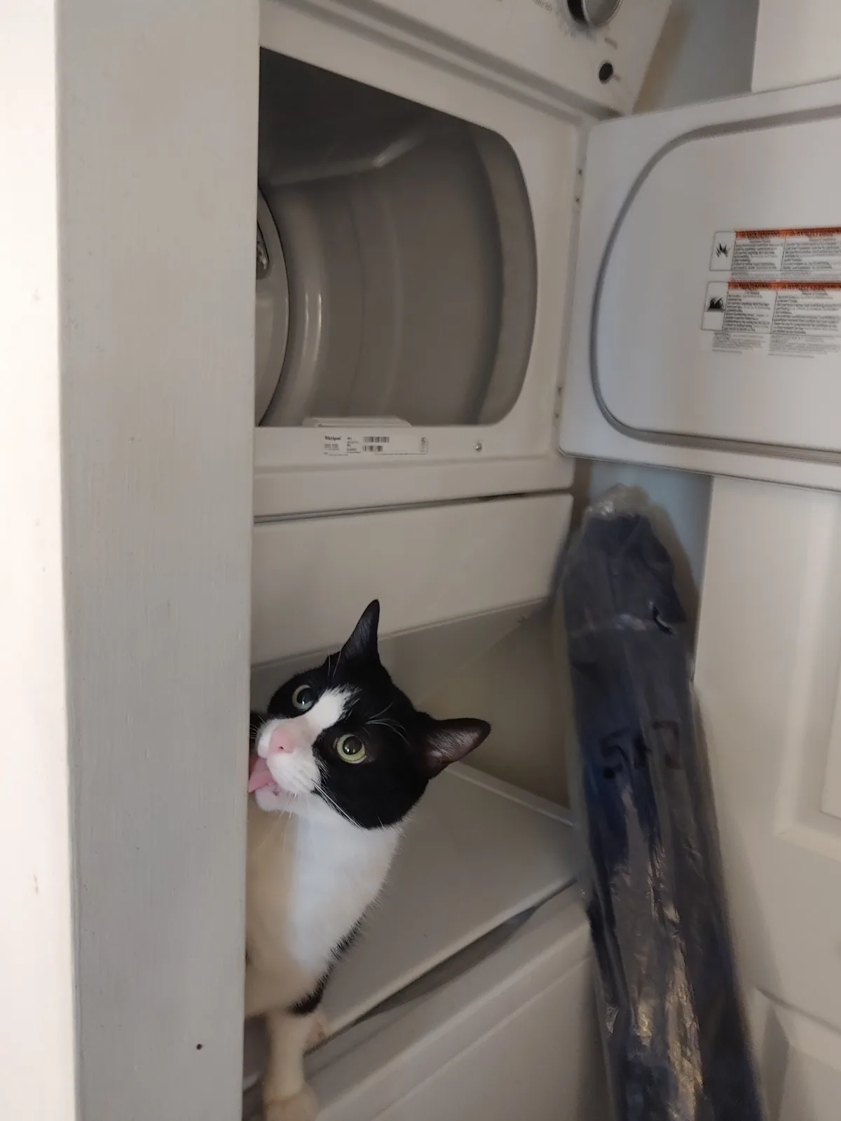 A black and white cat with wide eyes and its tongue sticking out peers out from inside an open white dryer. The dryer door…
