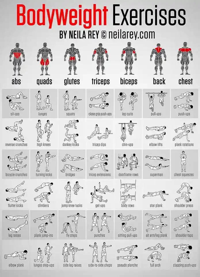 An infographic titled 'Bodyweight Exercises' by Neila Rey, showing 36 illustrated exercises arranged in a grid. Each…