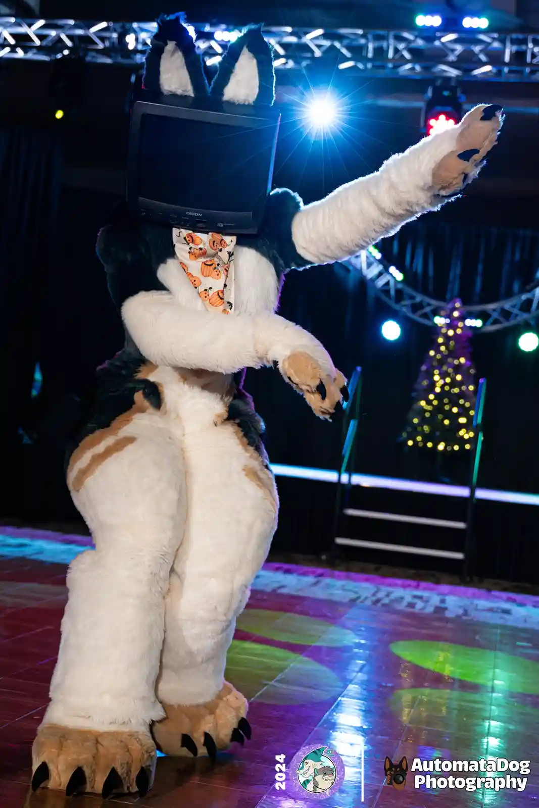 A person in a large, fluffy, black-and-white fursuit with cat-like ears and paws stands on a colorful, lit dance floor. The…