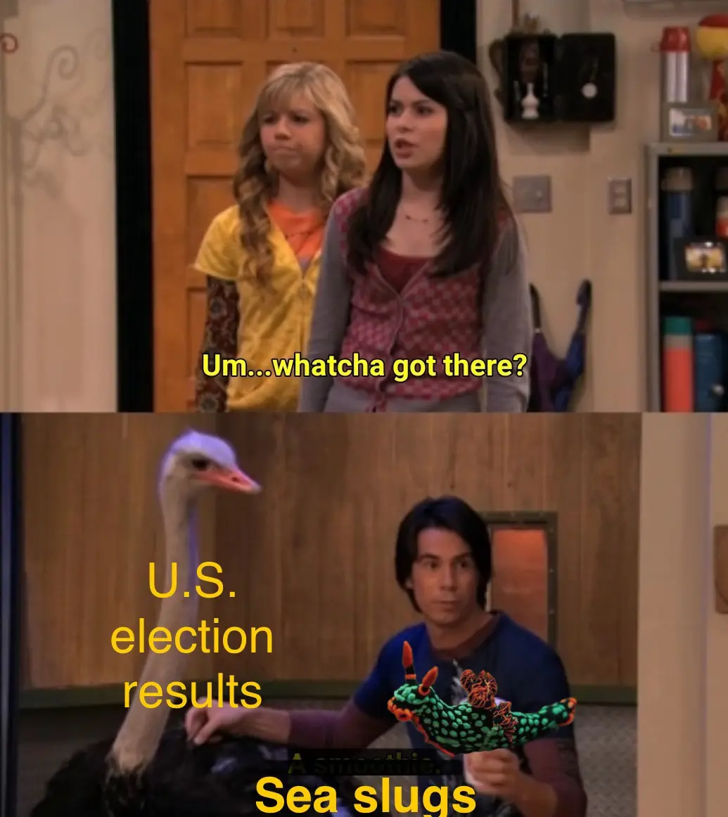 The top panel shows two girls from 'iCarly' looking confused, with text asking 'Um...whatcha got there?'. The bottom panel…