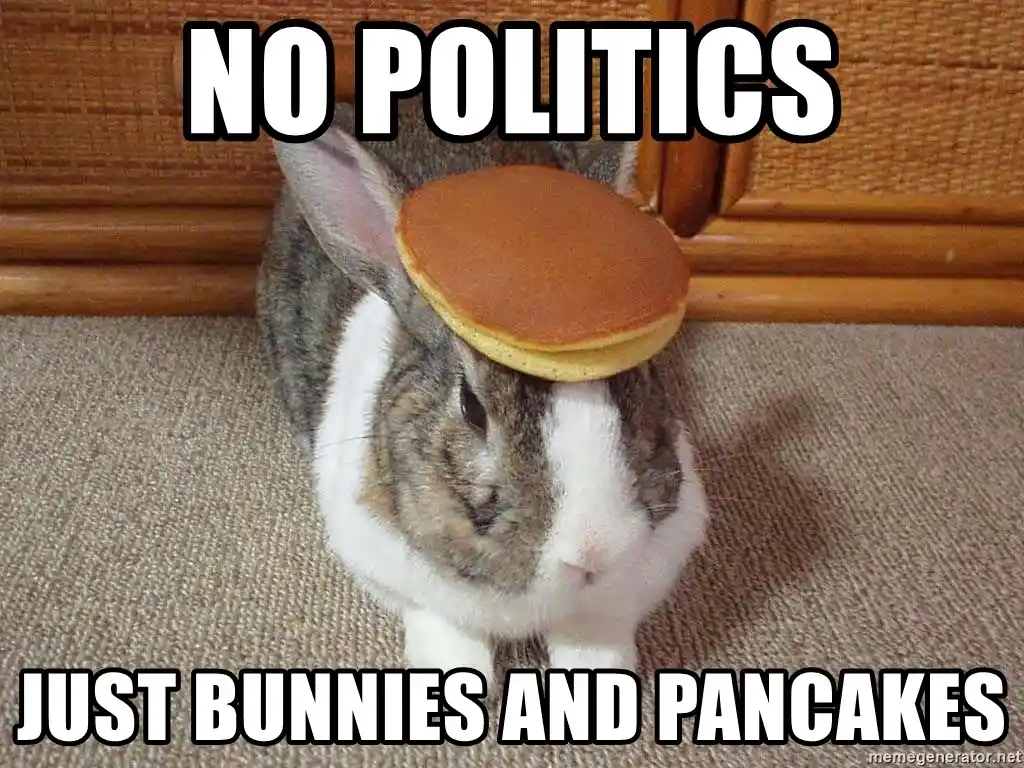 A gray and white rabbit sits on a beige carpet with a pancake balanced on its head, looking down. The text overlaid in bold…