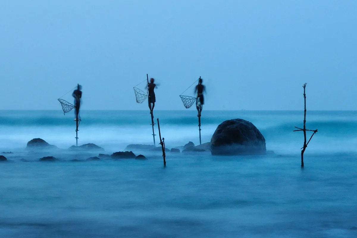 The Unique Art of Stilt Fishing: A Traditional Skill