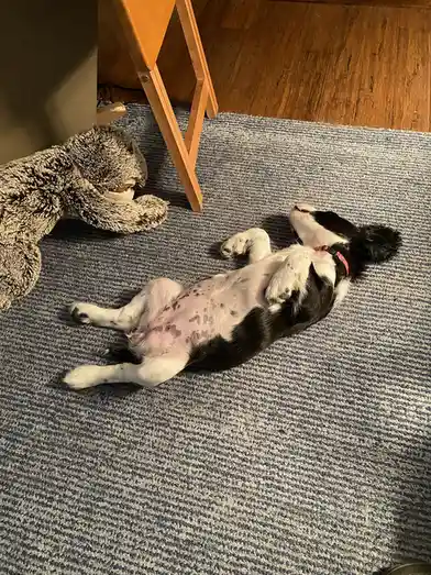 The Sleepiest Boy You'll Ever See