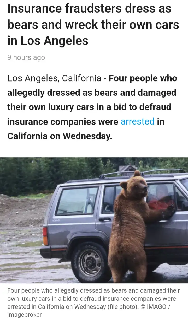 A news article headline about people arrested for allegedly dressing as bears to damage their own cars for insurance fraud…