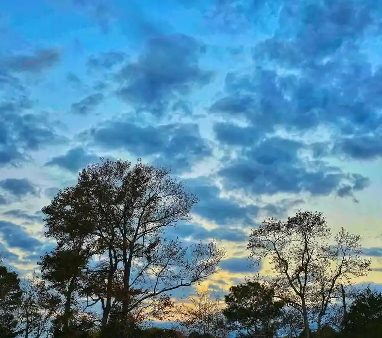 A serene sky photo showing silhouetted trees against a blue and yellow twilight sky with scattered clouds. The overlaid text…