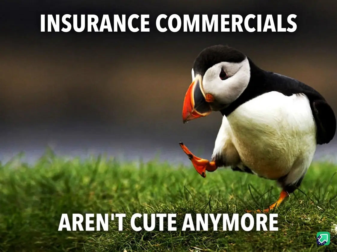 A puffin stands on green grass, looking down with one foot lifted, as if in a moment of realization or disappointment. The…