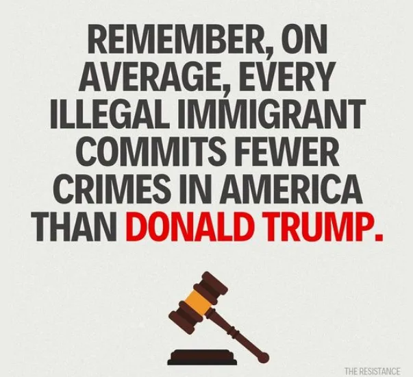 A light gray background features bold black text stating 'REMEMBER, ON AVERAGE, EVERY ILLEGAL IMMIGRANT COMMITS FEWER CRIMES…