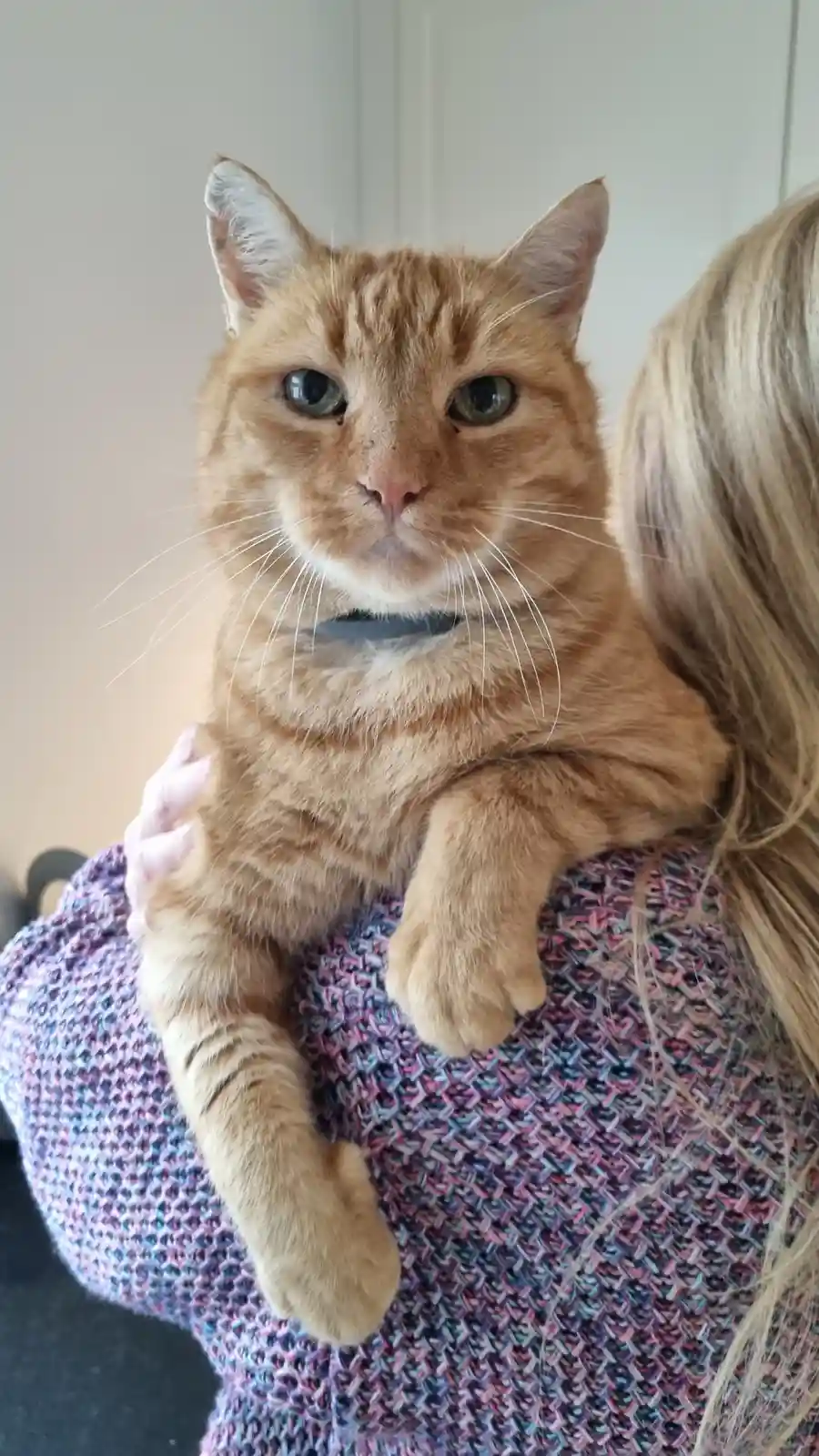 Meet Rudolf: Celebrating His 15th Birthday!