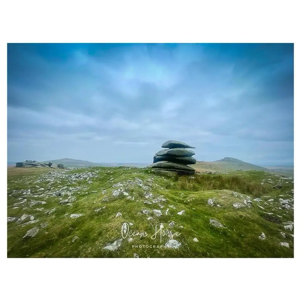 The Enchanting Hill of Swallows