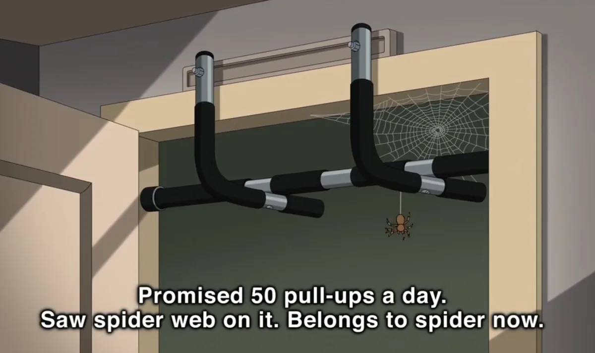 An animated image shows a pull-up bar installed over a doorway, with a spider web and a spider hanging from it. The overlaid…