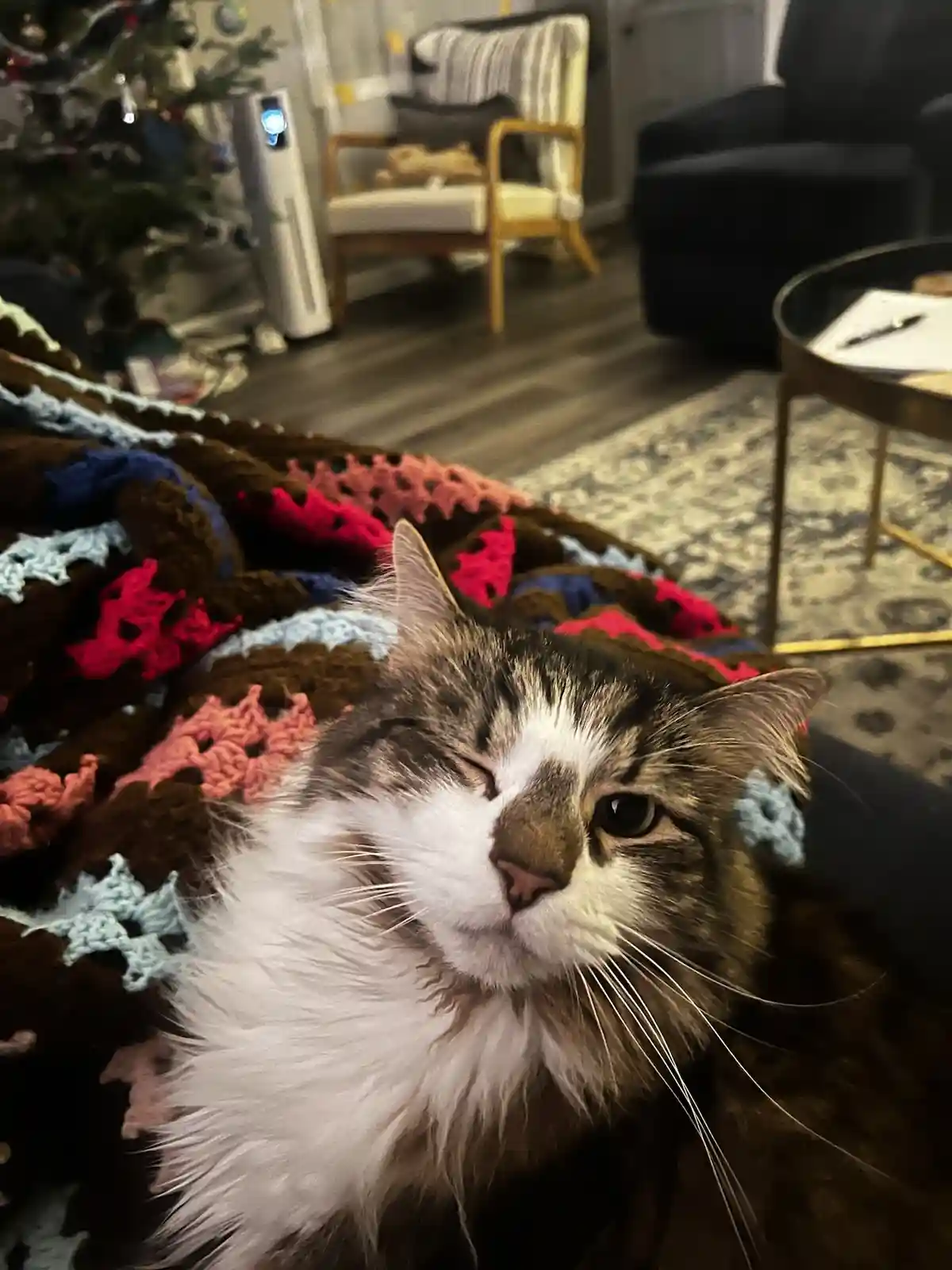 A fluffy tabby cat with white markings lies on a colorful crocheted blanket, one eye closed in a relaxed expression while…
