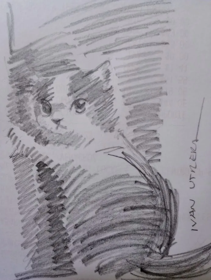 Just a cat being a cat
