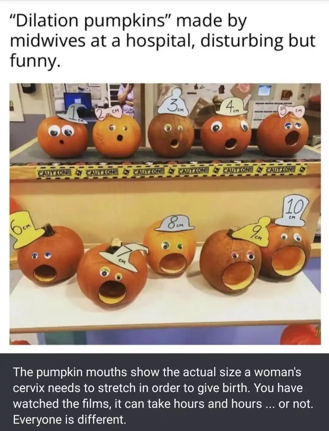 Ten pumpkins with googly eyes and cut-out mouths of increasing size, each labeled with a centimeter measurement from 1cm to…
