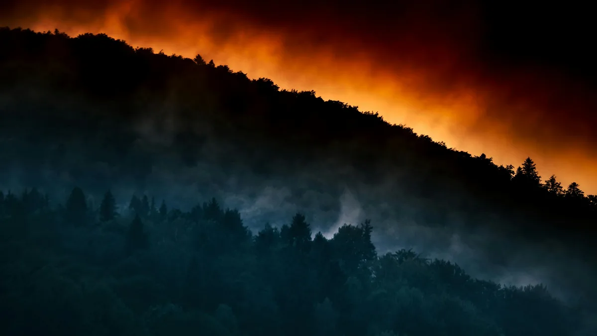 Vibrant hues of orange and pink bleed across the sky as misty tendrils weave through ancient trees, their gnarled branches…