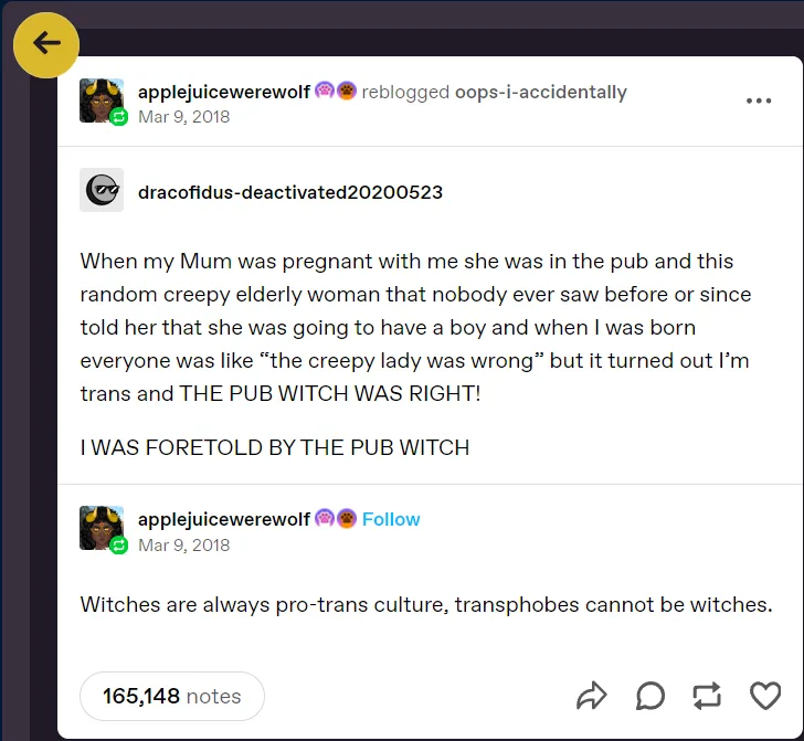 Meet the Enigmatic Pub Witch