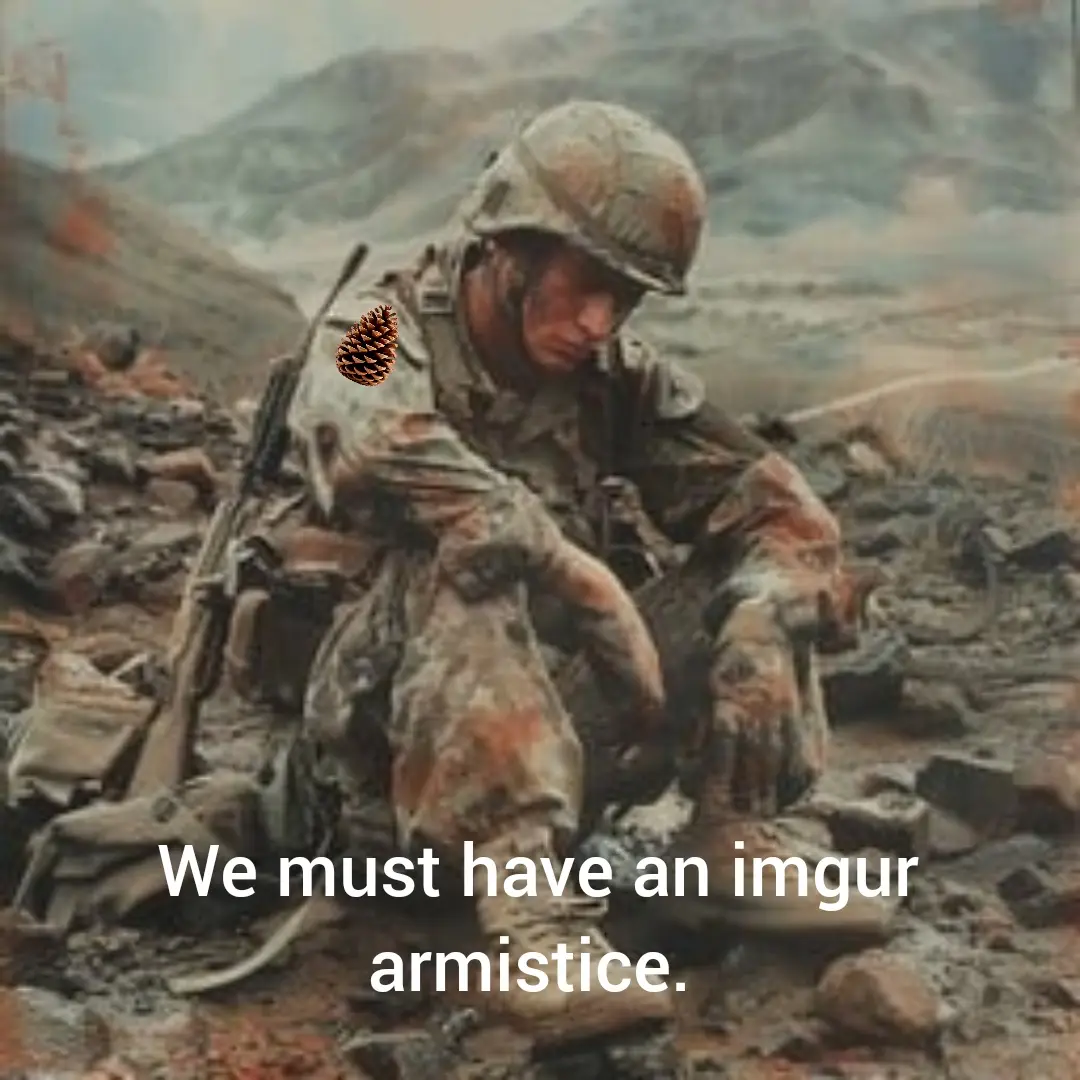 A soldier in camouflage gear is crouched in a rocky, barren landscape, looking downcast. A pinecone is digitally placed on…