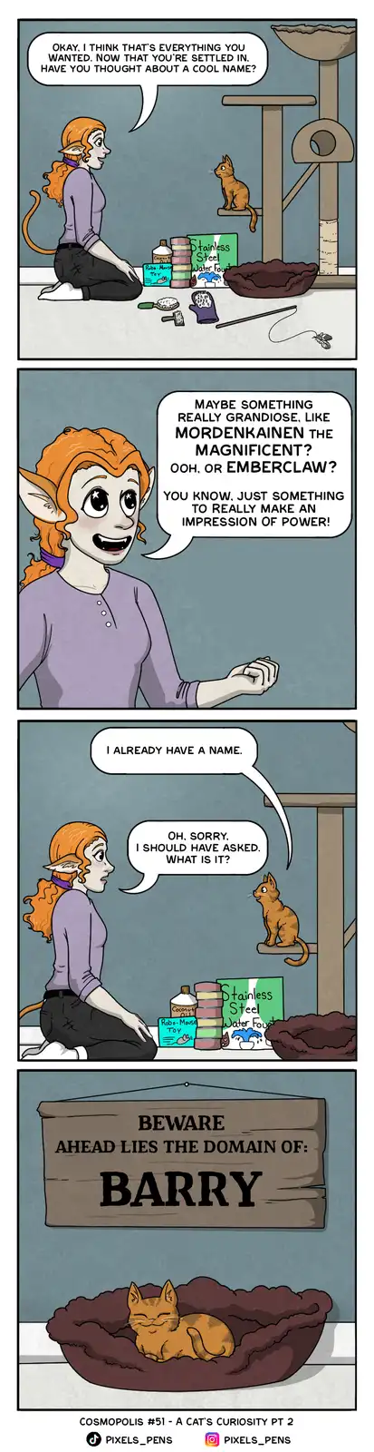 A three-panel comic strip shows an elf woman asking her new cat for a grandiose name, suggesting 'Mordenkainen the…