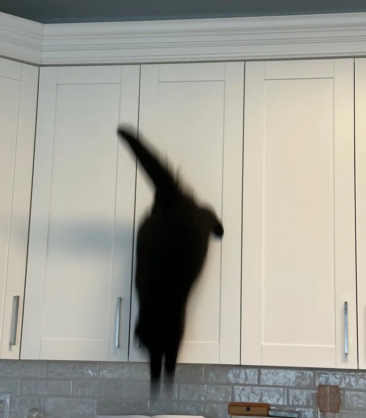 A blurry black silhouette of a cat captured mid-air, leaping toward white kitchen cabinets. The overlaid text reads 'i'm not…