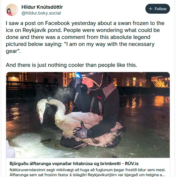 A person in heavy winter gear, including a hood and gloves, kneels on ice at night holding a swan. The person has a headlamp…